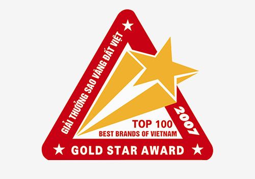 SAO VÀNG ĐẤT VIỆT