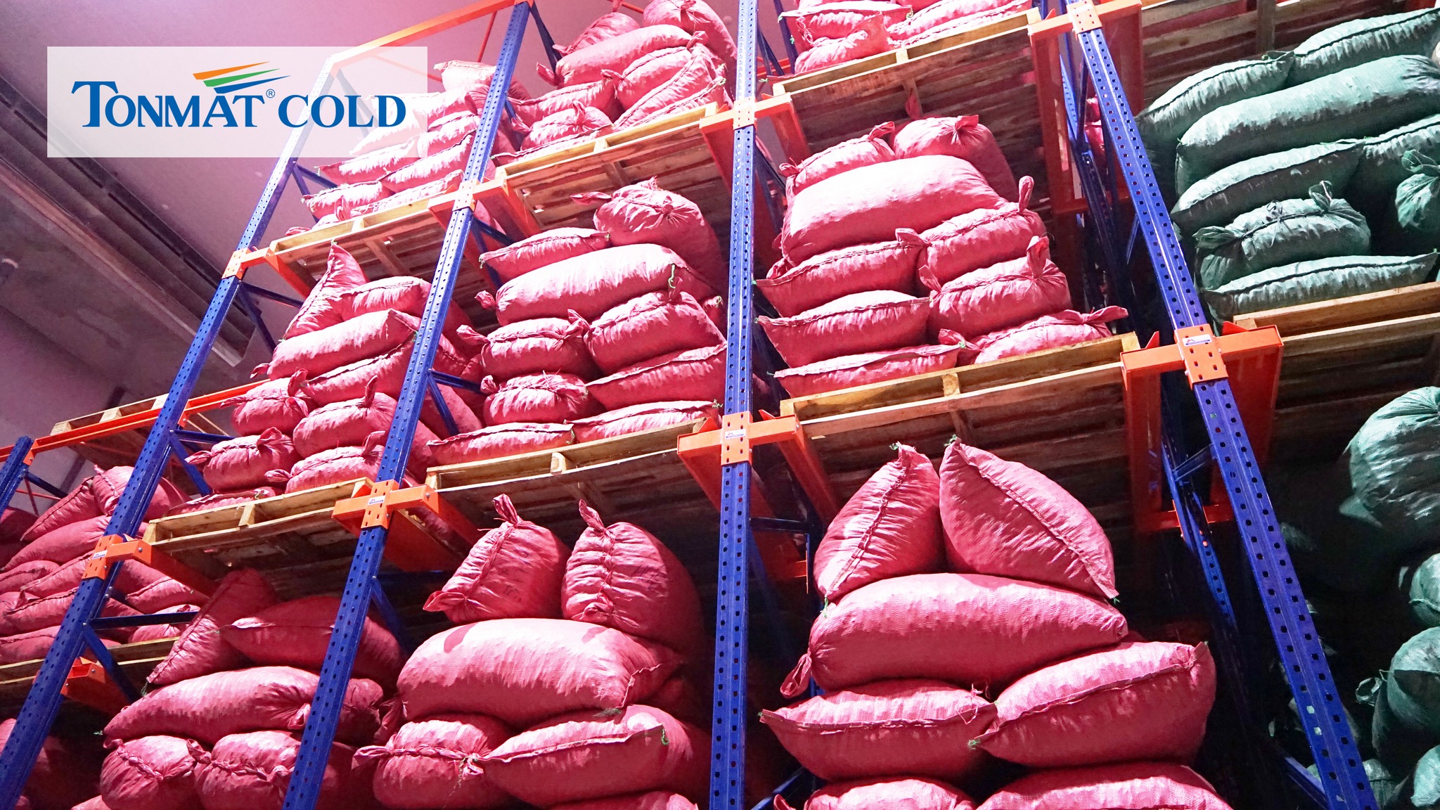 312811696_668919091468485_7666054133765375_n