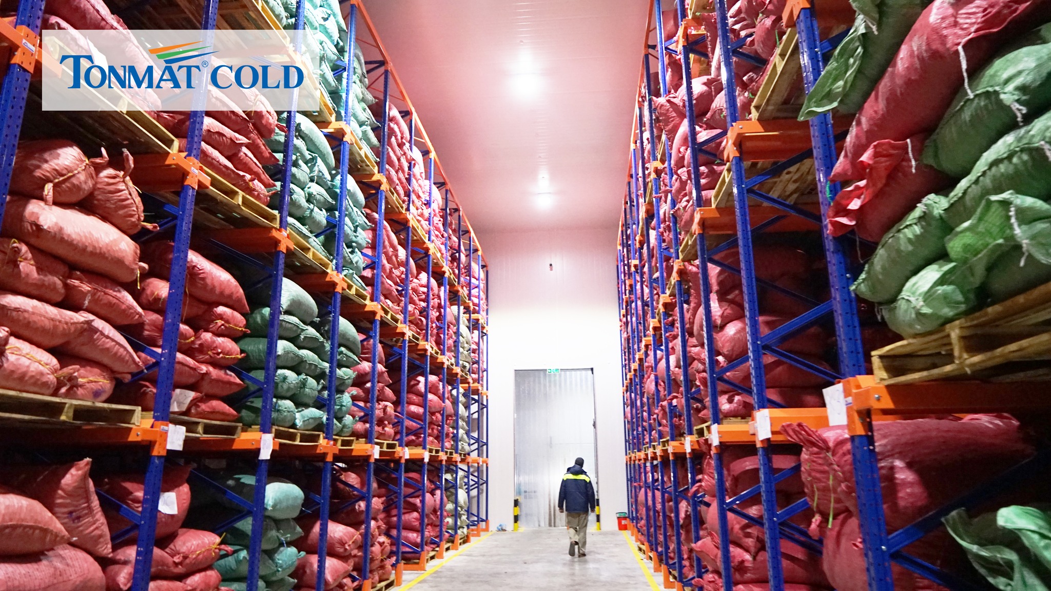 312986373_668918948135166_4899523207815207643_n