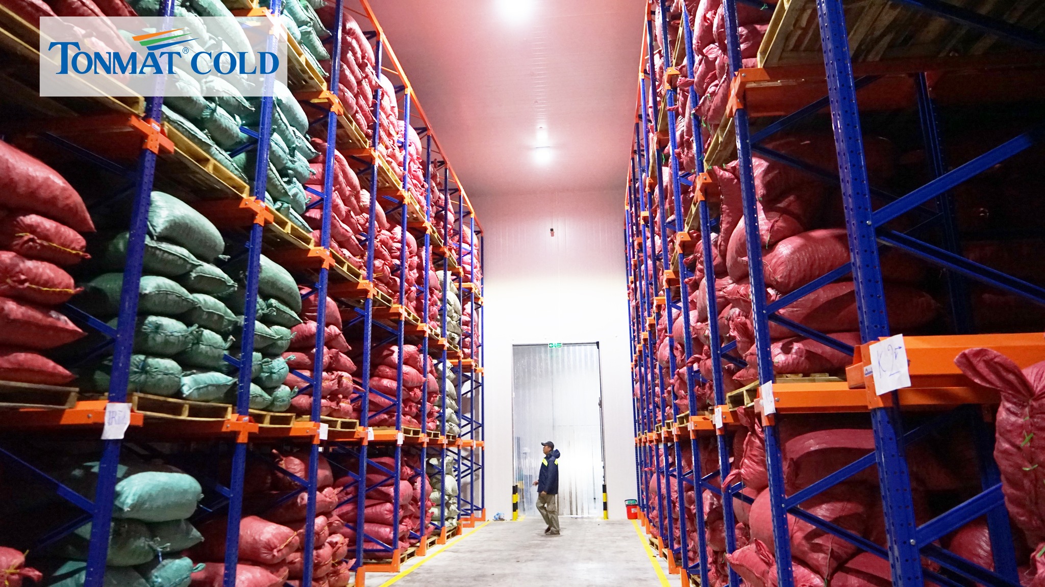 313402445_668918378135223_718682120906835735_n